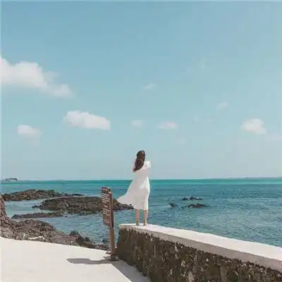 测试一个超长简介的文章