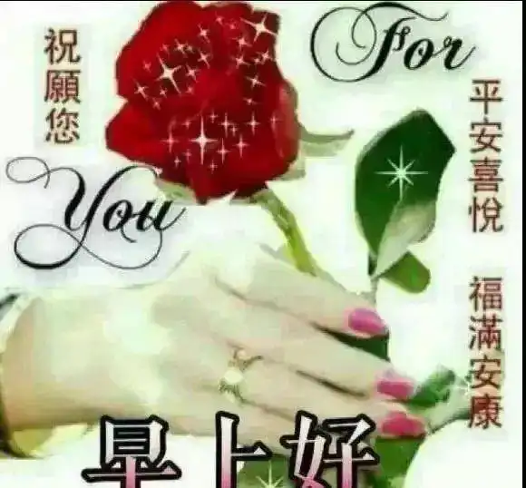 情绪这东西,你不必在意它,它就不会伤害你,早上开心快乐