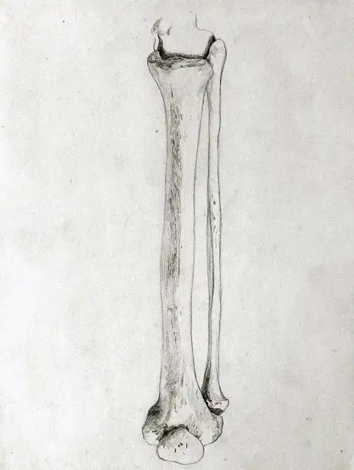 艺推意大利画家beppeciardi素描手稿作品