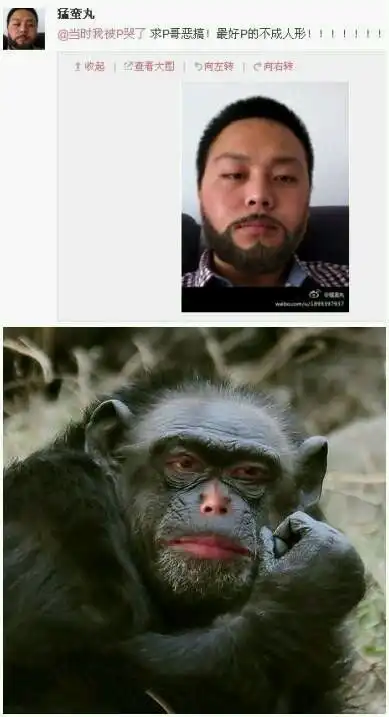 测试一个超长简介的文章