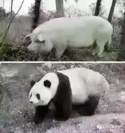 发几个笑话给大家乐一乐,提提神