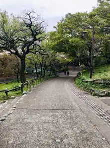 横跨东西日本,赏樱盘鹿撸豆柴岛国十一天交通住宿干货集