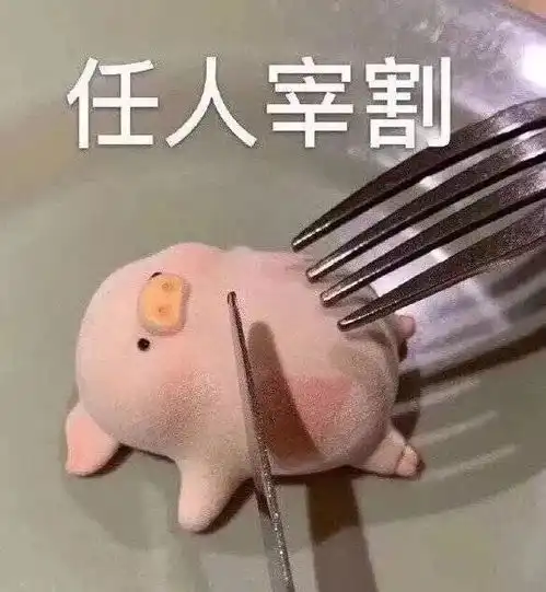 被忽悠去性价比极高的小众国家读书,我上当了