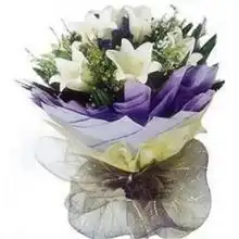 送花网鲜花速递6朵铁炮百合爱情鲜花预订贵阳鲜花配送单头铁炮百合6枝报价