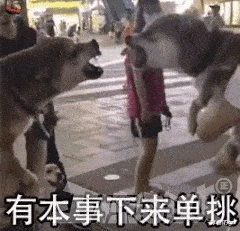 穿高跟鞋送外卖的妹子,是想要差评吗哈哈哈