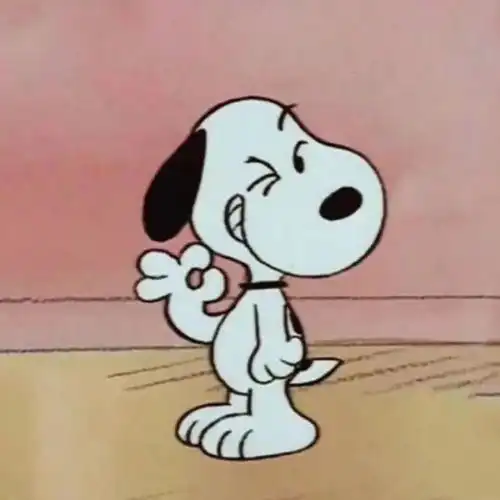 劝你养比格犬的人,是不是和你有仇
