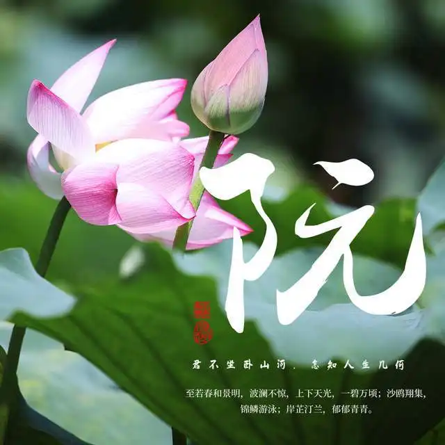 荷花美景姓氏签名头像,诗情画意意境优美,送给有缘的你