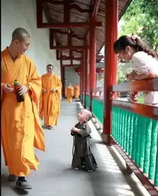 littlemonksparksonlinefrenzy